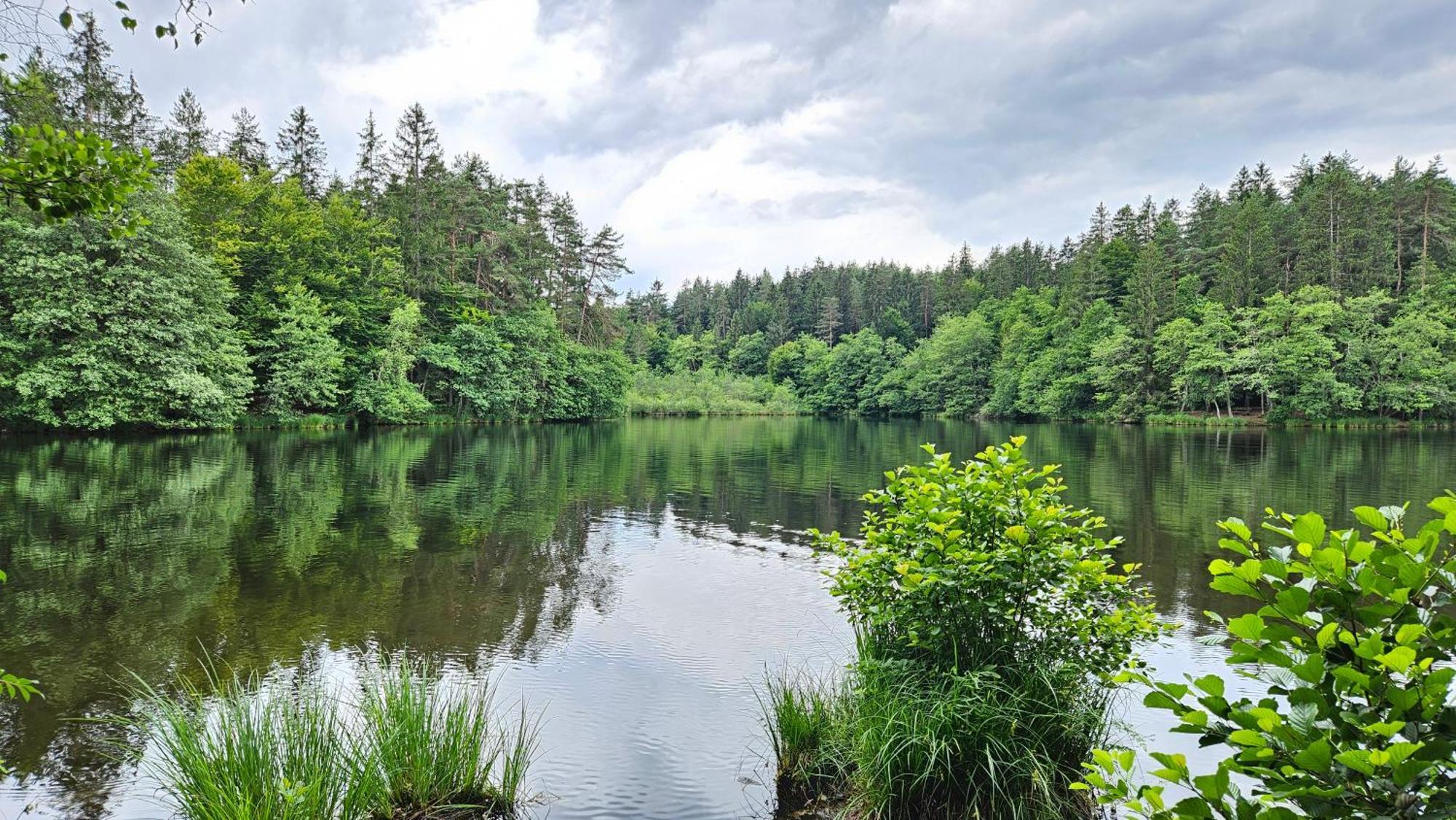 "Casa Antonio" 3 Gehminuten Strandbad Sekirn, Inkl Seezugang Zewnętrze zdjęcie