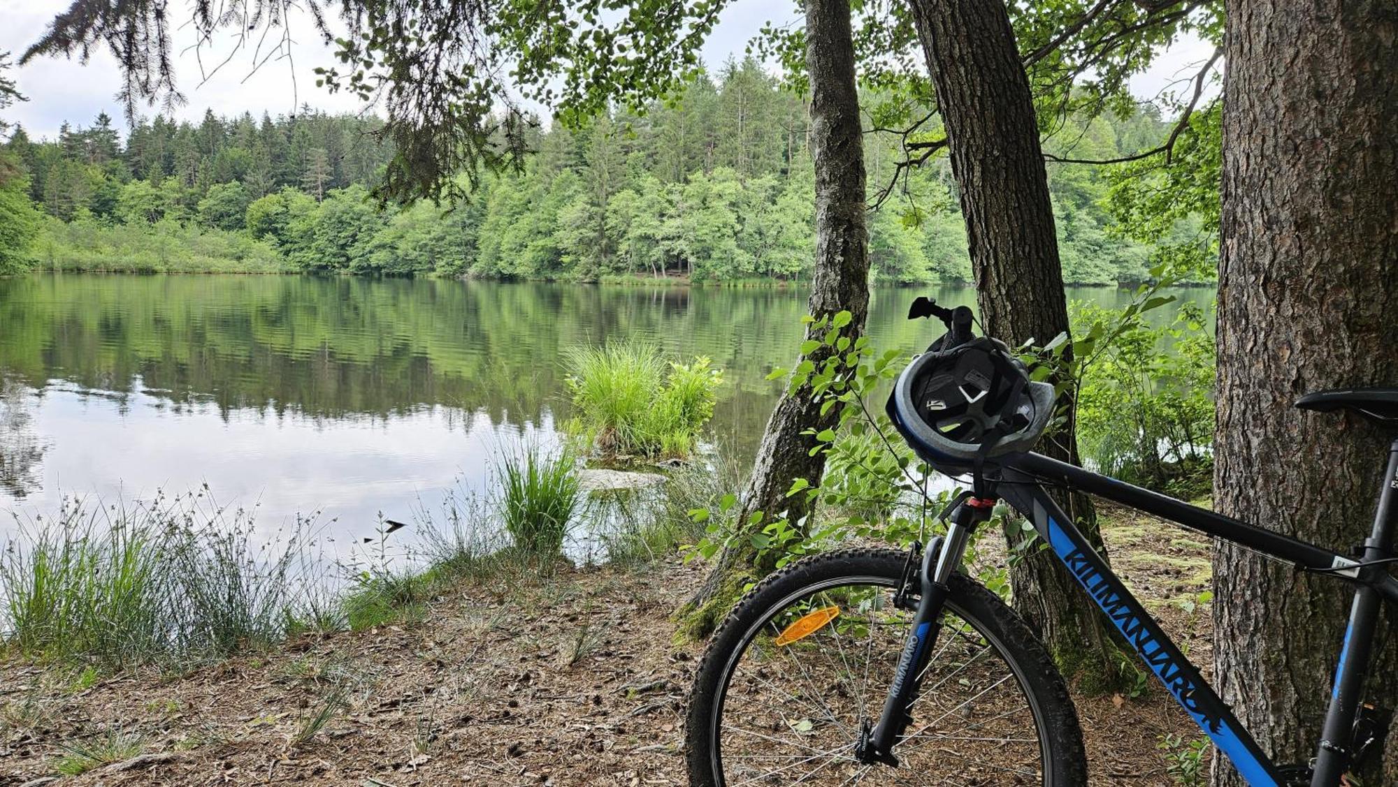 "Casa Antonio" 3 Gehminuten Strandbad Sekirn, Inkl Seezugang Zewnętrze zdjęcie