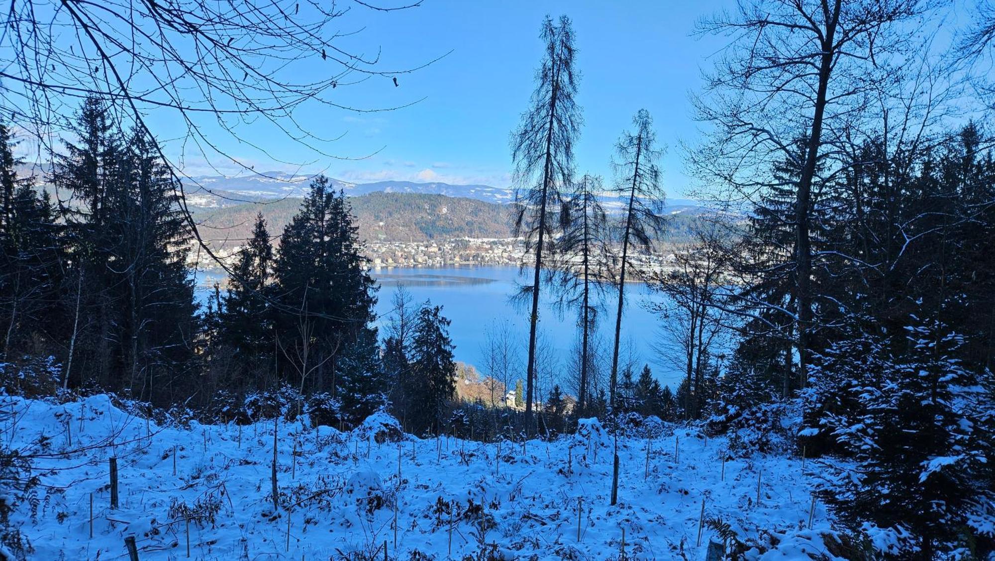 "Casa Antonio" 3 Gehminuten Strandbad Sekirn, Inkl Seezugang Zewnętrze zdjęcie